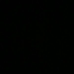 Meet your Posher, Yeison